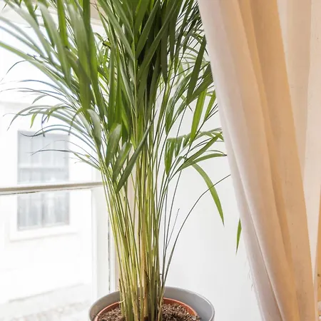 Large Vacation In The Old Town Lejlighed *