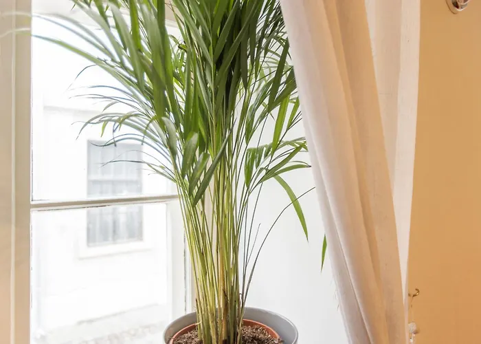 Large Vacation In The Old Town Apartment *