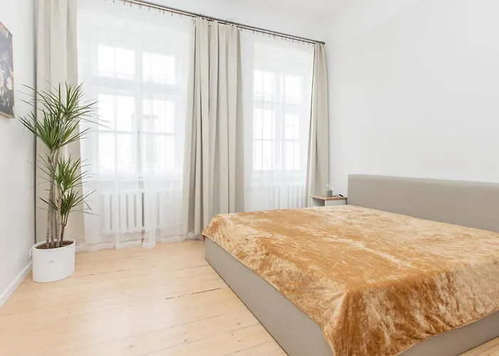 Large Vacation In The Old Town Apartment Riga