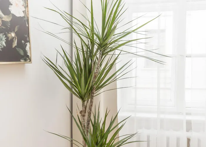 Large Vacation In The Old Town *