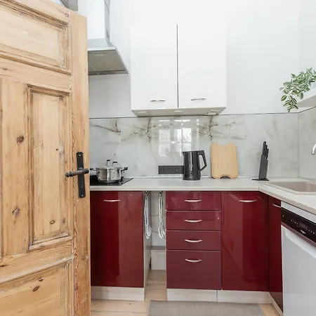 Lägenhet Large Vacation In The Old Town